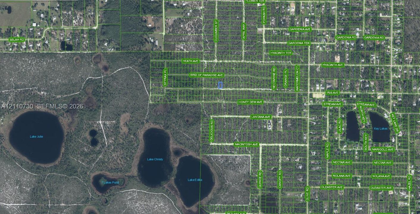 Aerial Tax Map. Displaying the geographic location and parcel boundaries of the property
