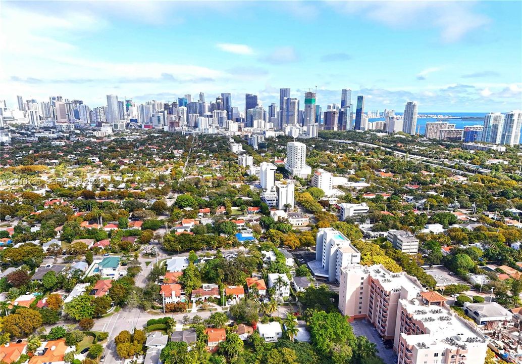 Aerial perspective featuring a dense tree canopy and urban skyline backdrop