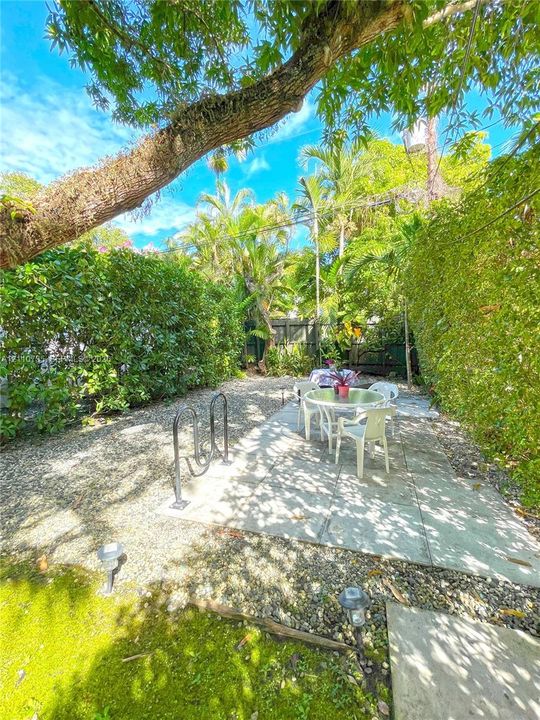 Backyard area featuring mature canopy trees, extensive privacy hedging, gravel surfacing, and a concrete patio