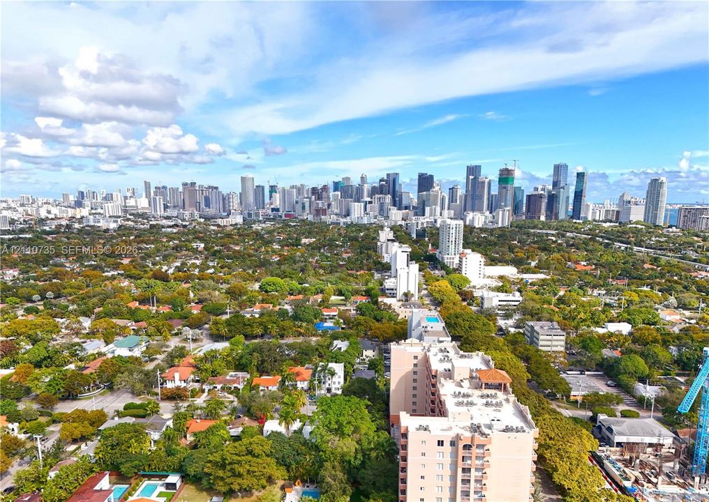 Aerial perspective featuring urban skyline, mature tree canopy, and dense residential landscaping
