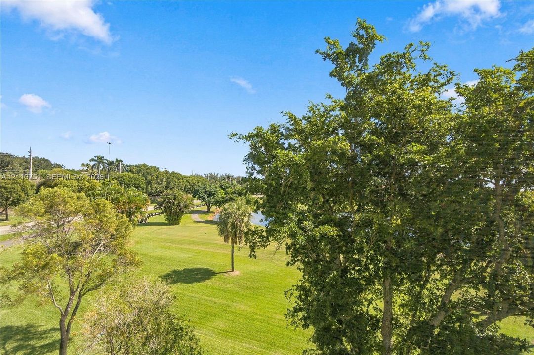Expansive green space featuring mature landscaping, assorted palm trees, and a pond