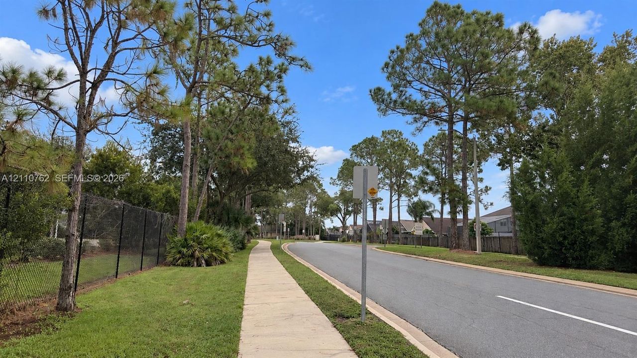 Paved concrete sidewalk bordering an asphalt street, characterized by mature trees and lush grassy areas