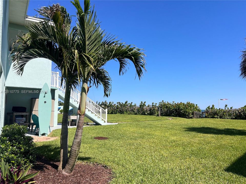 Expansive lawn featuring mature palm trees, exterior stairs with white railings, and manicured landscaping