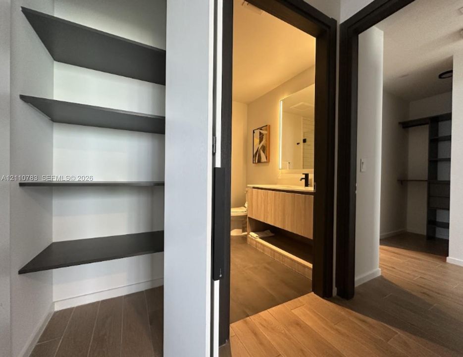 Built-in shelving units with dark finish, wood-finish flooring, floating vanity with integrated lighting, and walk-in closet with custom organizational systems