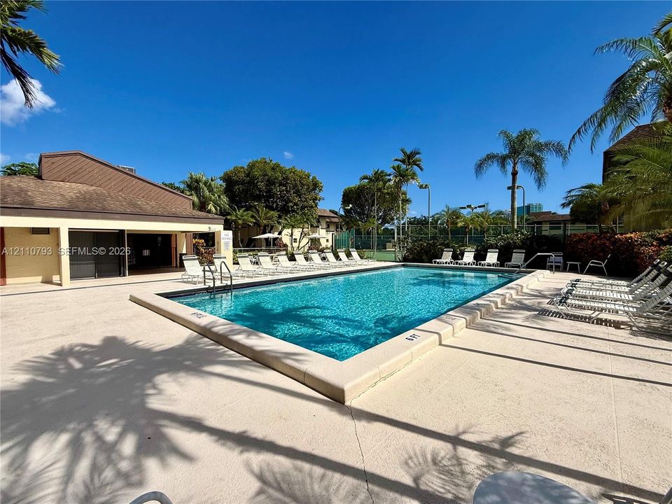 Rectangular swimming pool with integrated metal ladder and concrete deck, featuring a covered pavilion, mature palm trees, and perimeter fencing