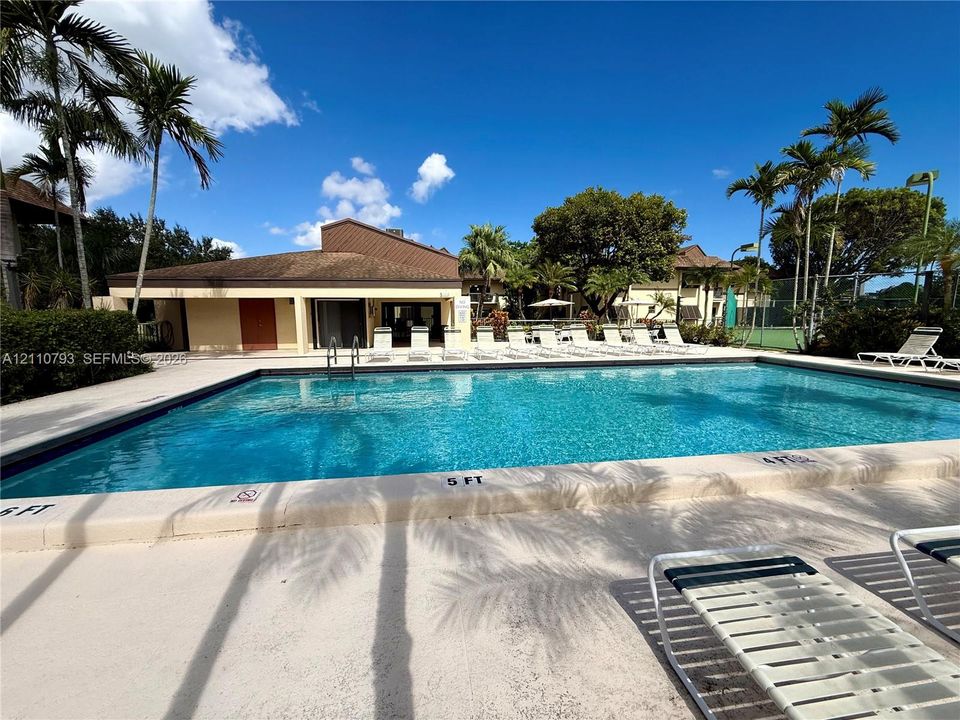 In-ground swimming pool with stone coping and concrete decking, surrounded by palm trees and landscaping