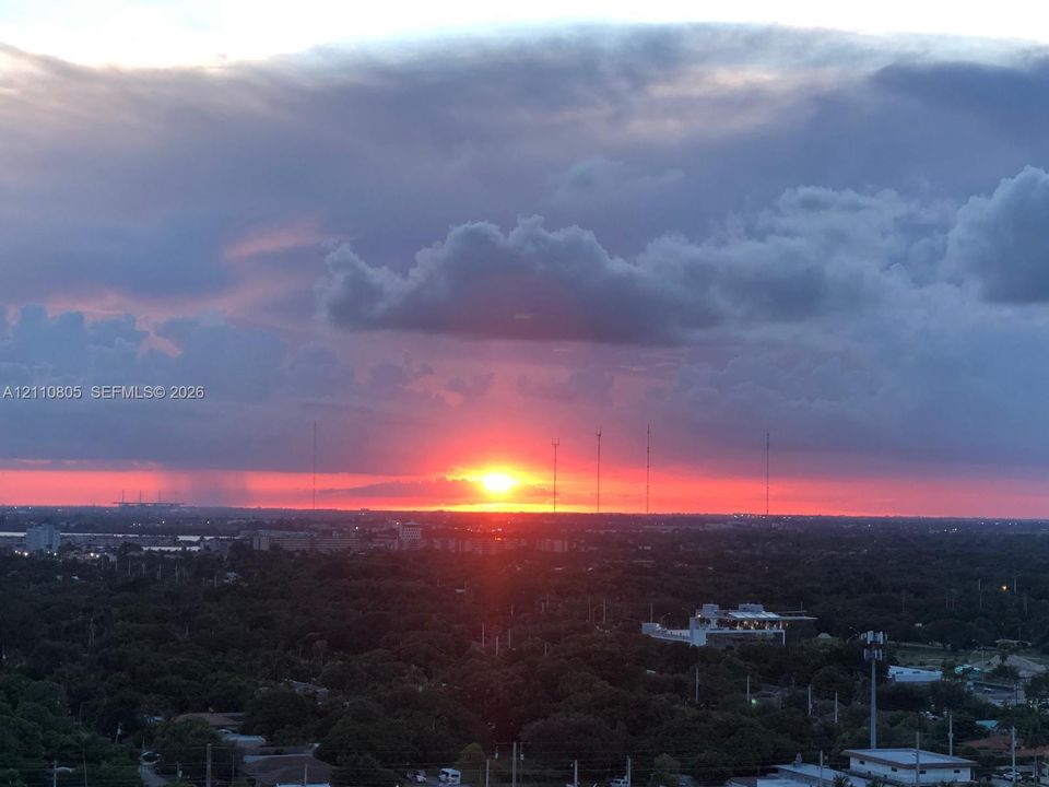 Panoramic horizon featuring a vibrant sunset over an expansive tree canopy