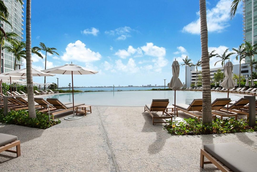 Infinity-edge pool featuring a stone-paver deck, mature palm trees, and panoramic water scenery
