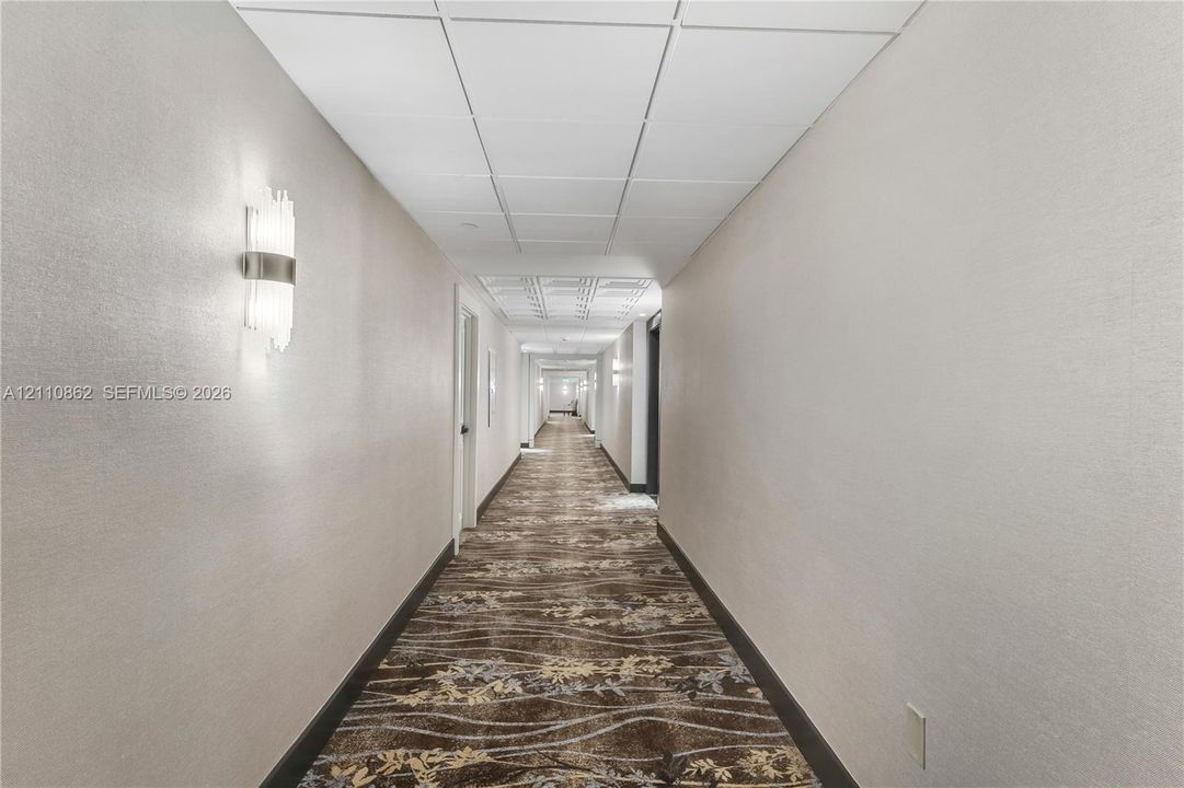 Hallway featuring neutral wall finishes, textured carpeted flooring, drop ceiling panels, and brushed metal wall-mounted light fixtures