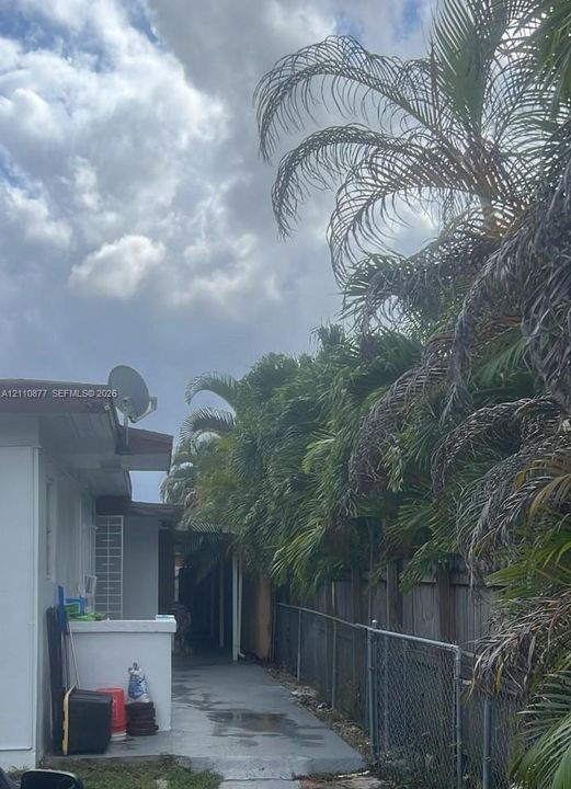 Exterior side walkway featuring painted concrete surfacing, white stucco wall finish, and perimeter chain-link fencing bordered by mature palm trees
