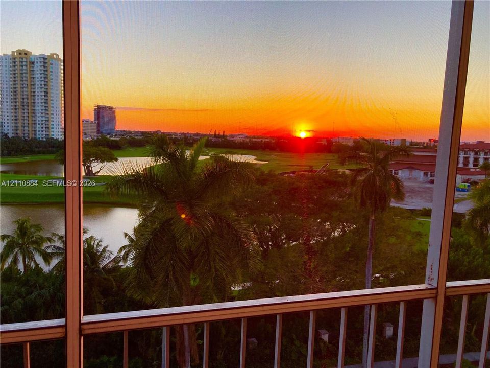 Screened balcony featuring metal railings and a panorama of palm trees, water features, and expansive greenery at sunset