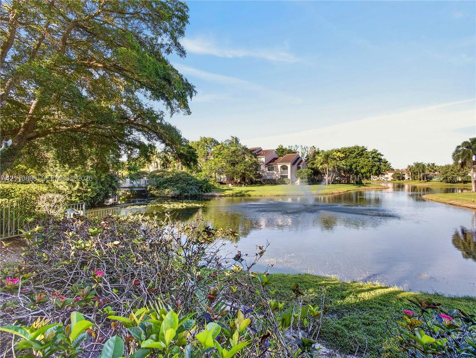 Waterfront setting featuring a central fountain, mature perimeter trees, and native landscape foliage