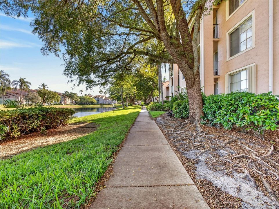 Concrete pathway bordered by mature landscaping, established trees, and a water feature