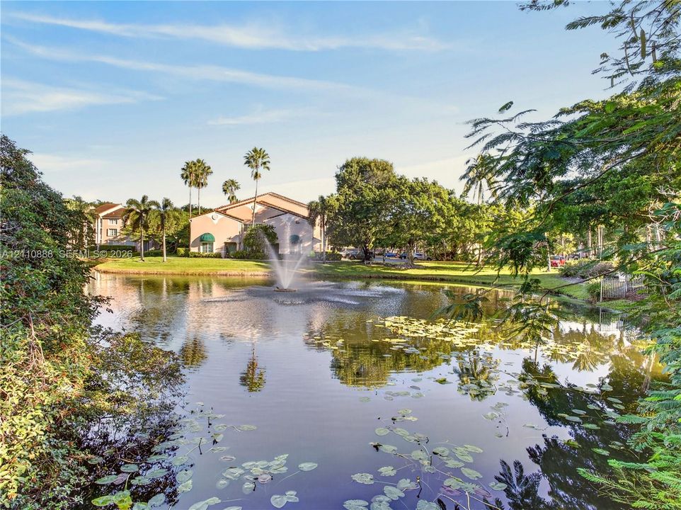 Manicured pond featuring a central fountain, mature trees, palm trees, and building exterior with stucco facade and green awnings