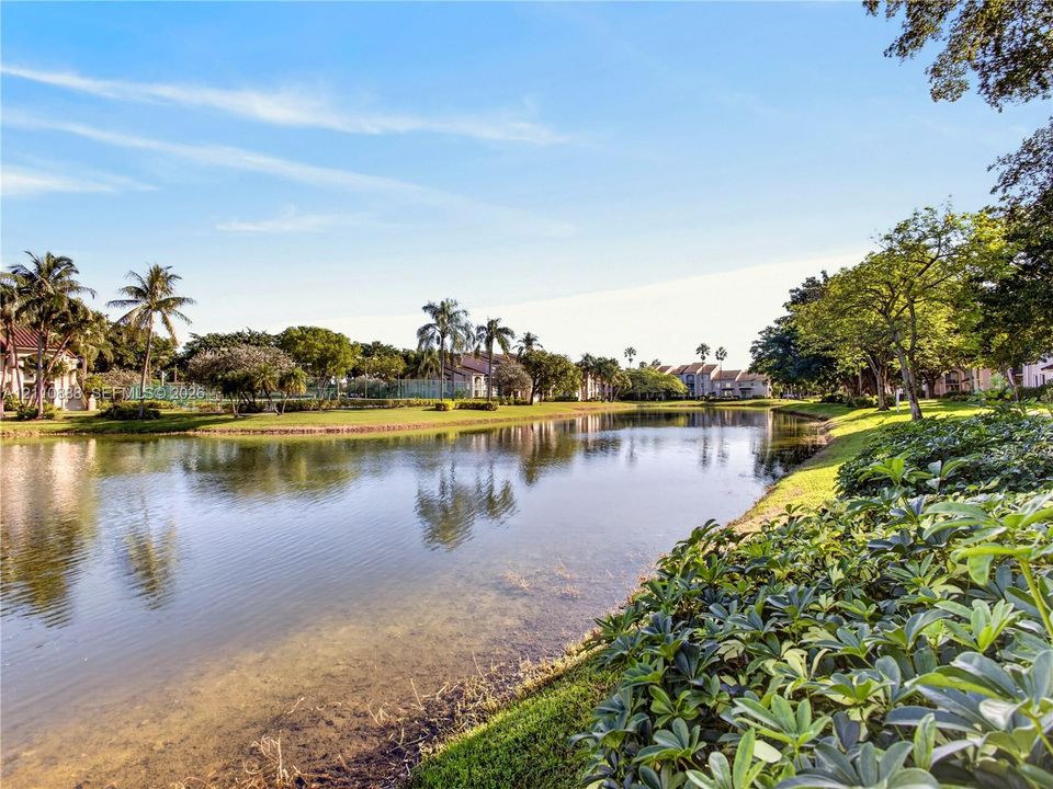 Waterfront parcel featuring a natural pond, expansive green space, mature palm trees, and lush vegetation