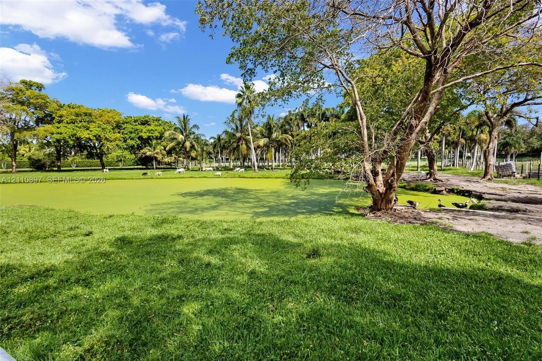 Expansive grounds featuring a natural pond, mature trees, open pasture, and lush landscaping