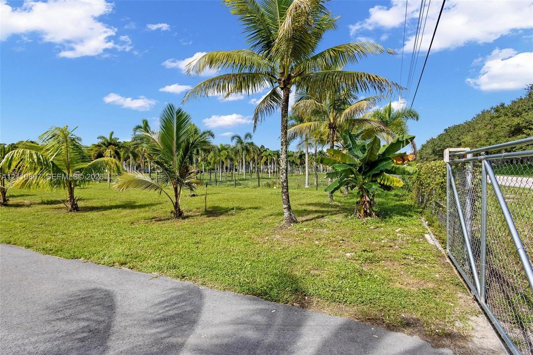 Expansive outdoor acreage featuring mature palm trees, lush landscaping, and a chain-link perimeter fence