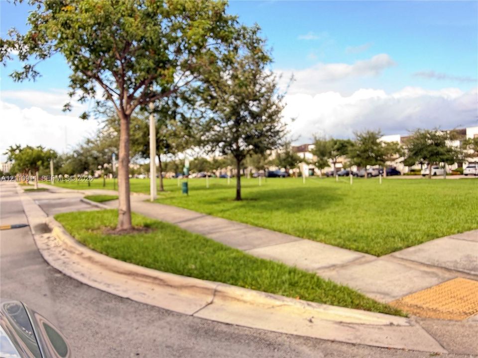 Expansive green space featuring mature trees and concrete sidewalks