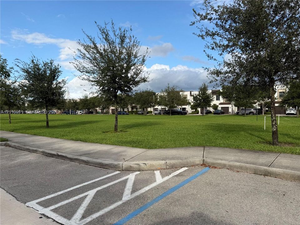 Expansive grass lawn featuring mature trees and concrete sidewalks