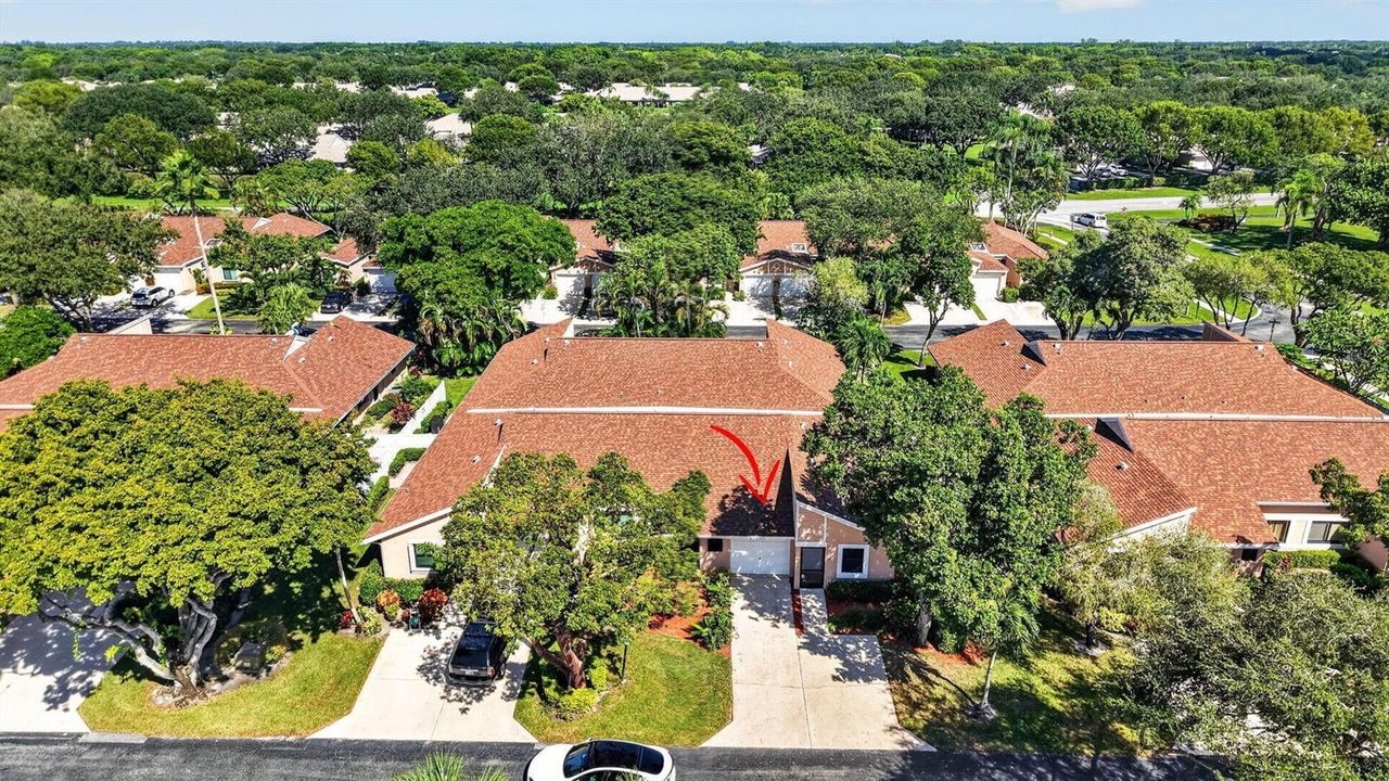 47-web-or-mls-DJI_20261021113619_0807_D
