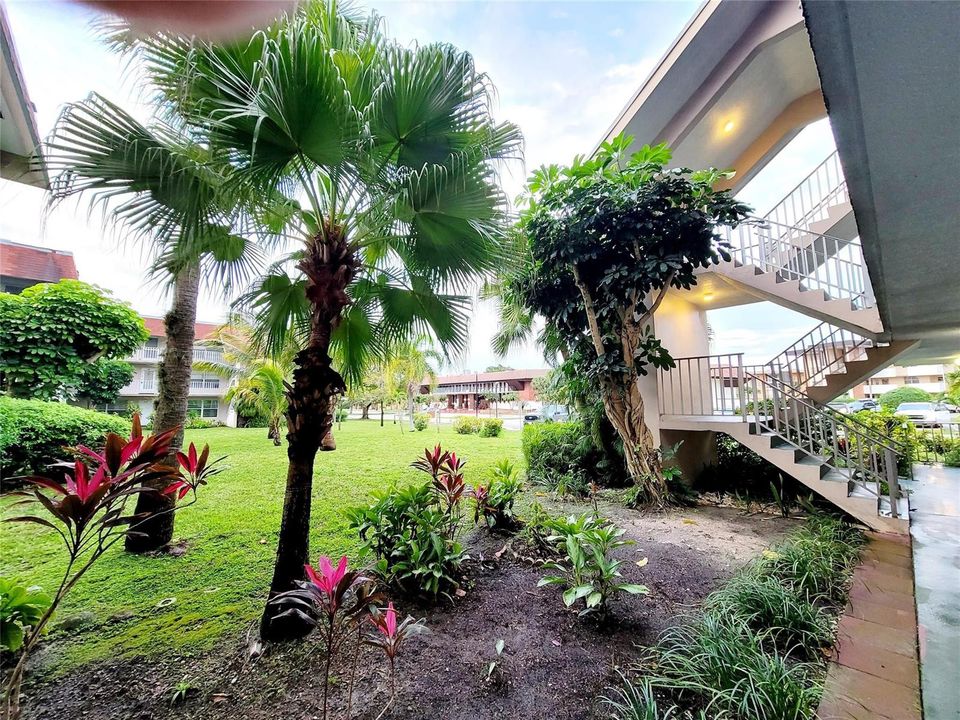 Nice landscaping