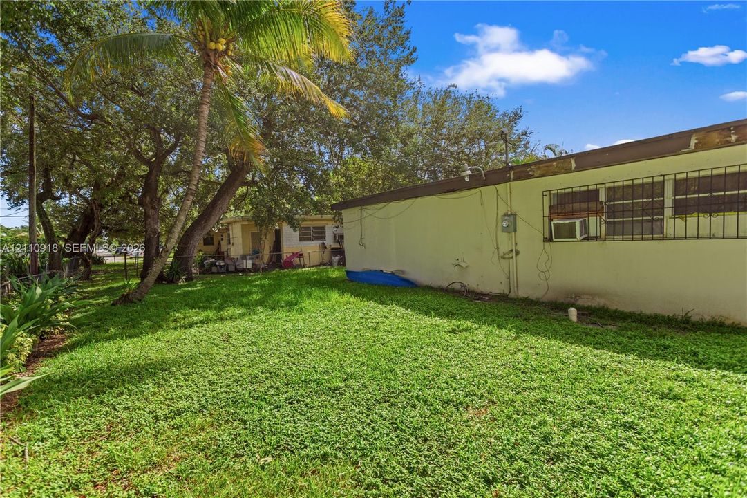 Expansive grass yard featuring mature palm trees and established perimeter vegetation