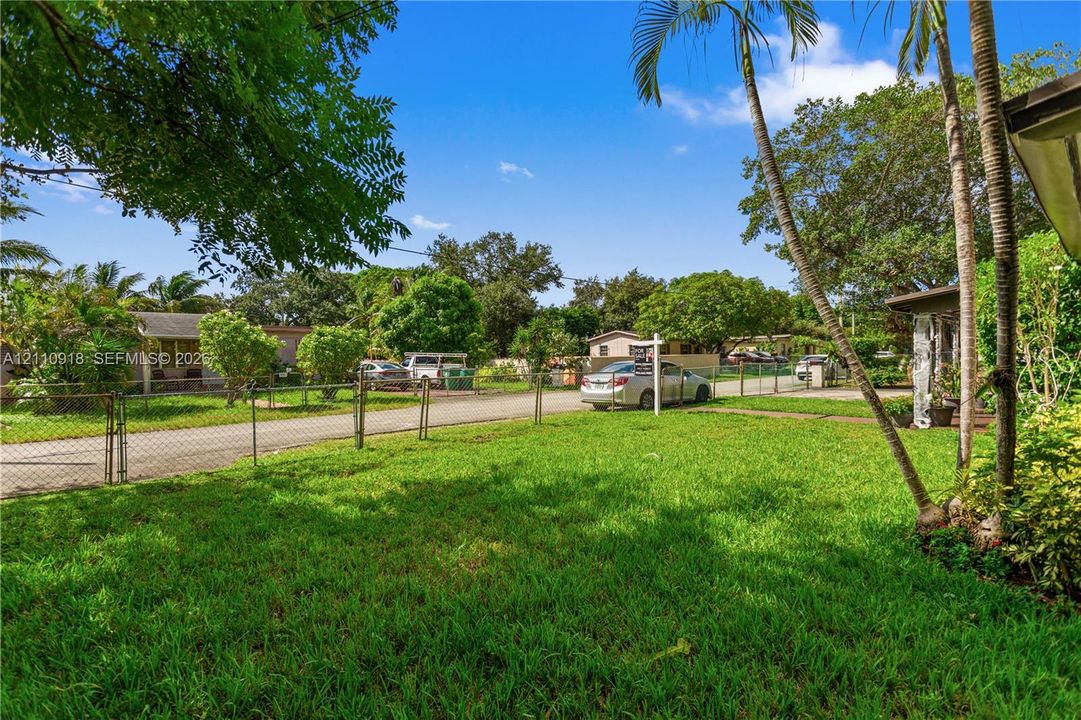 Expansive front lawn featuring mature palm trees and perimeter chain-link fencing