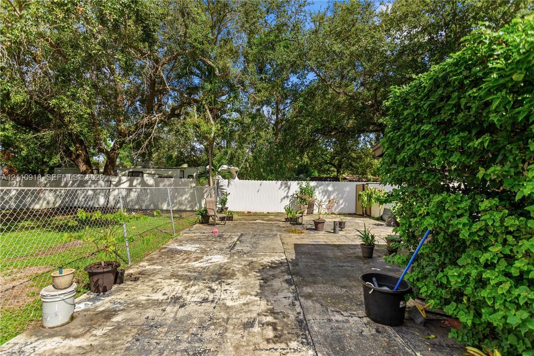 Backyard featuring a concrete patio, perimeter chain-link and privacy fencing, and mature canopy trees