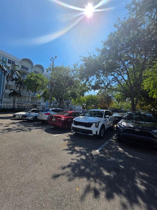 Asphalt-paved surface parking area with marked stalls and mature trees