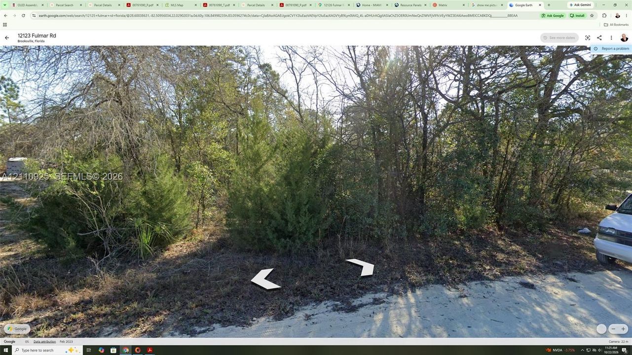 Wooded parcel featuring established native trees and natural landscaping
