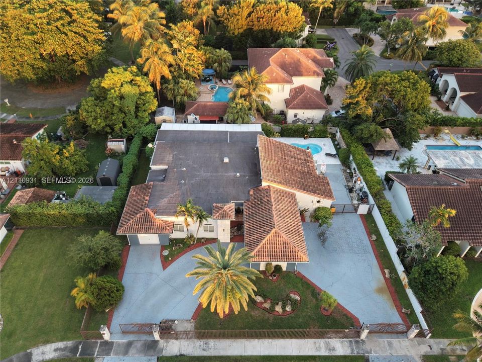Single-story residence featuring a clay tile roof, expansive paved driveway, swimming pool, and mature perimeter landscaping