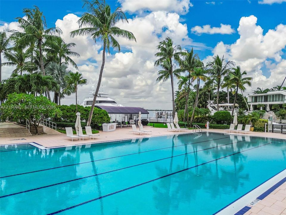 Rectangular swimming pool with tiled surround, concrete pool deck, and mature palm trees