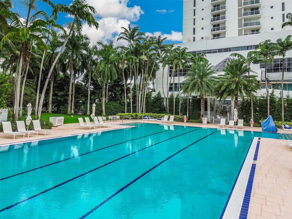 Rectangular lap pool featuring tile decking, built-in entry steps, and mature palm landscaping