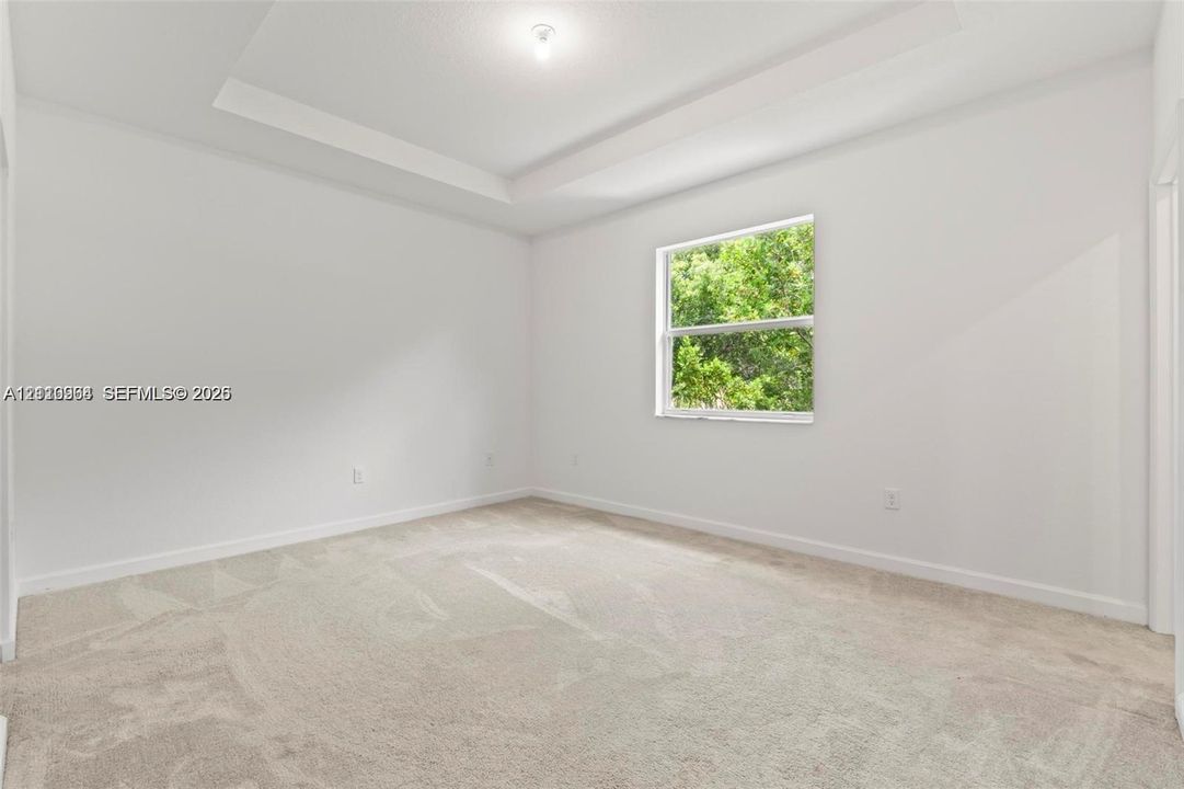 Interior space featuring a recessed tray ceiling, wall-to-wall carpeting, and a single-hung window
