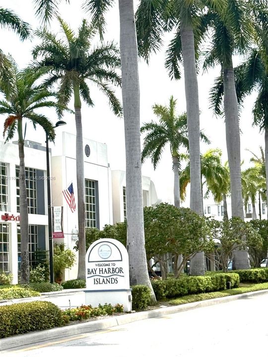 Streetscape featuring mature palm trees, manicured hedges, and professional landscaping