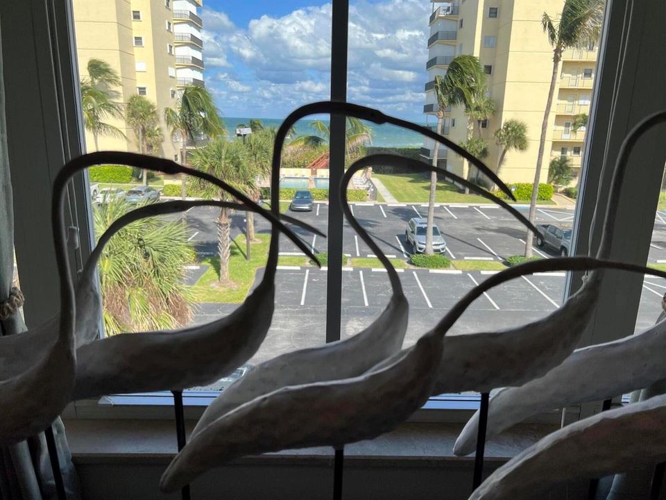 OCEAN VIEW