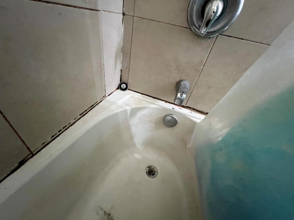 IMG_0785
