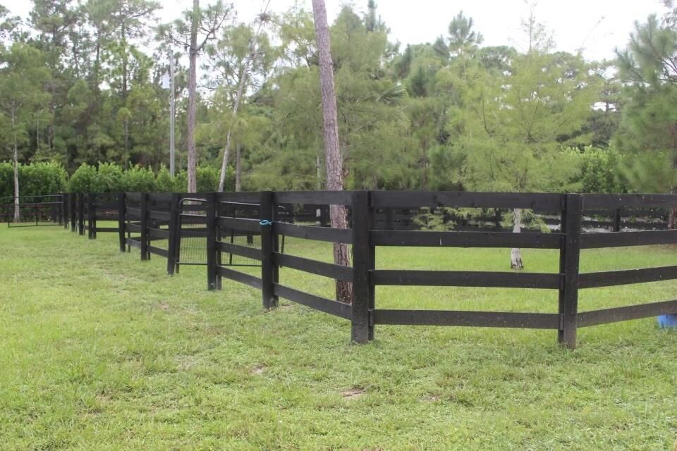 14407 Halter paddocks