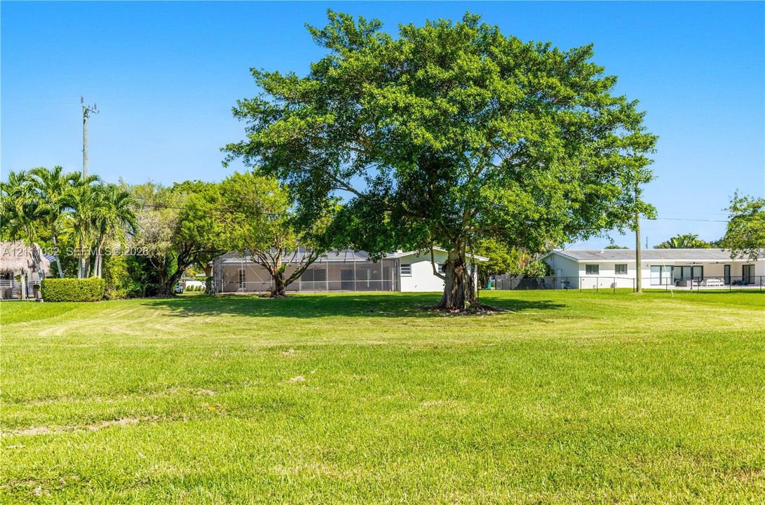 Expansive lot featuring a manicured lawn, mature trees, and a screened-in rear enclosure