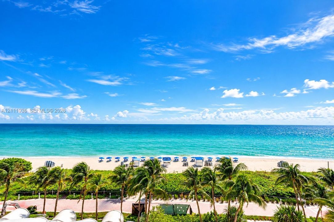 Oceanfront setting with a sandy beach, turquoise water, mature palm trees, and coastal horizon