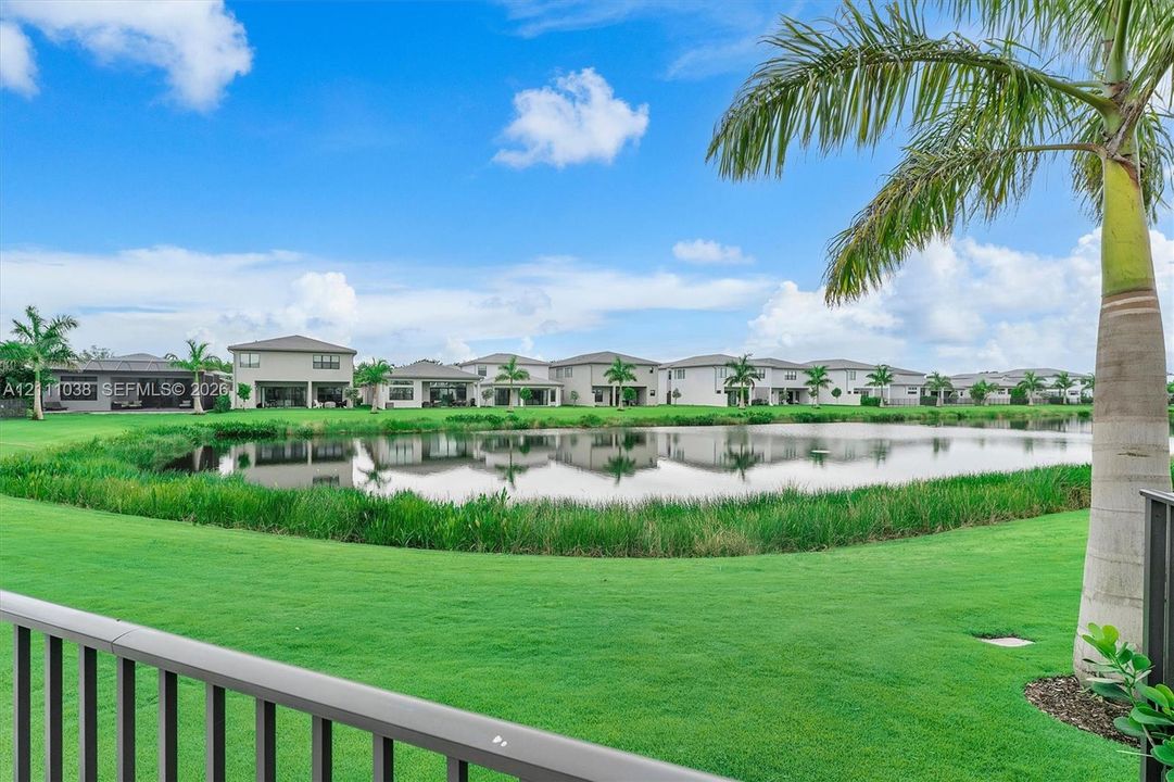 Waterfront parcel featuring a manicured lawn, naturalized shoreline vegetation, and mature palm trees