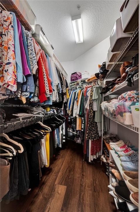 Walk-in closet featuring wood-finish flooring, tiered wire shelving, and overhead linear lighting
