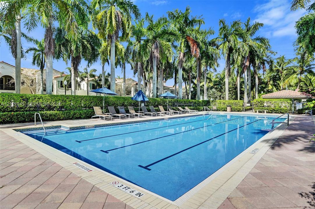 Rectangular swimming pool featuring tiled coping, metal pool ladders, a paver deck, and surrounding palm trees with manicured hedges