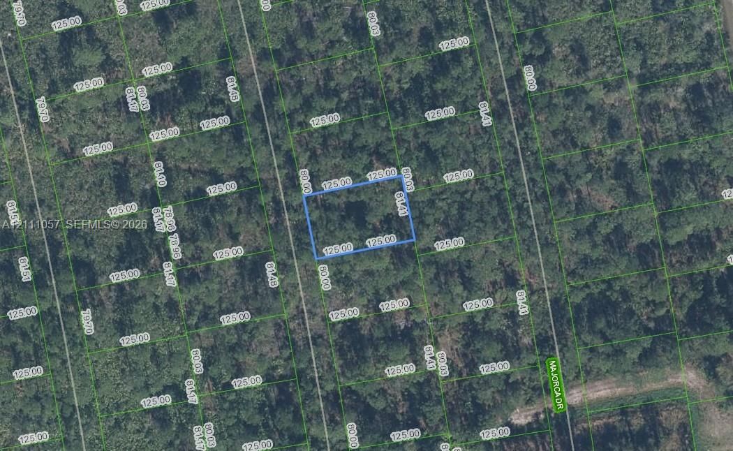 Parcel Map. Illustrating the dimensions and boundary measurements of the property