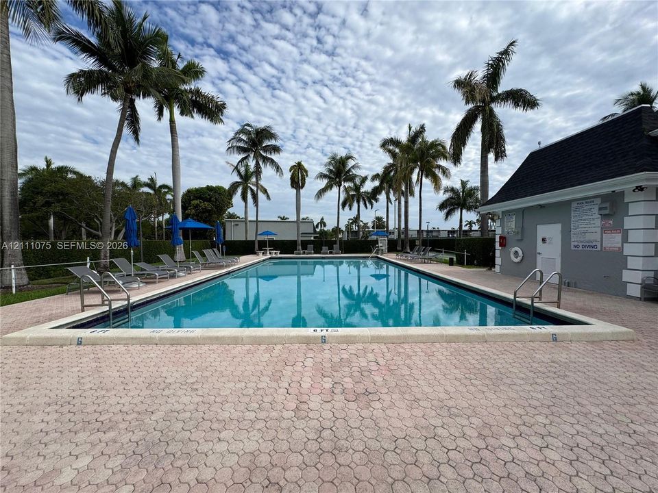 Rectangular swimming pool featuring a concrete deck, built-in metal ladders, perimeter landscaping, and tall palm trees