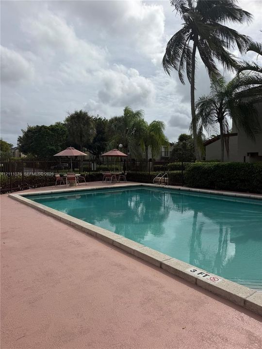 In-ground swimming pool with stone coping, concrete decking, metal perimeter fencing, and mature palm trees