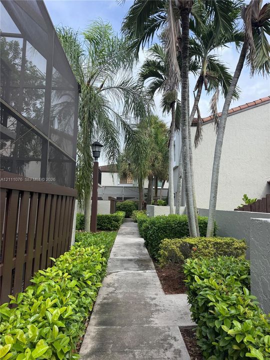 Concrete walkway lined with manicured hedges, mature palm trees, and exterior post lighting