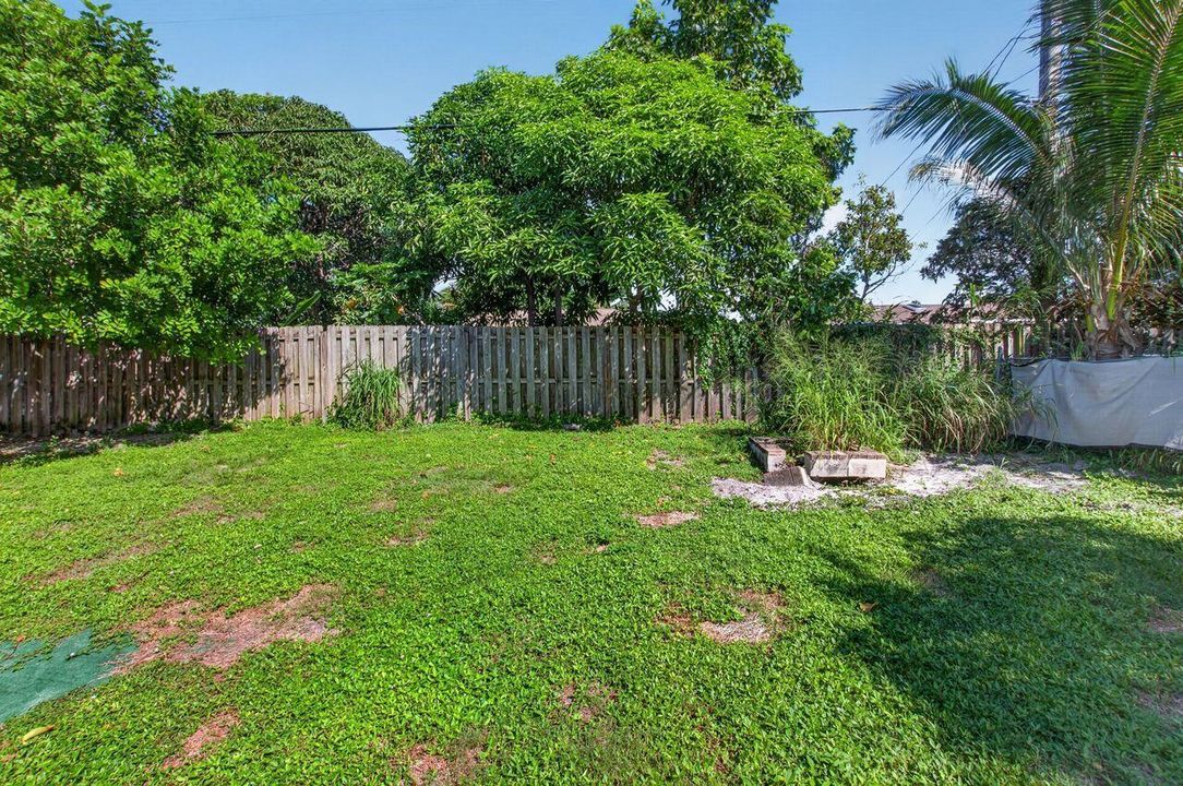 Backyard