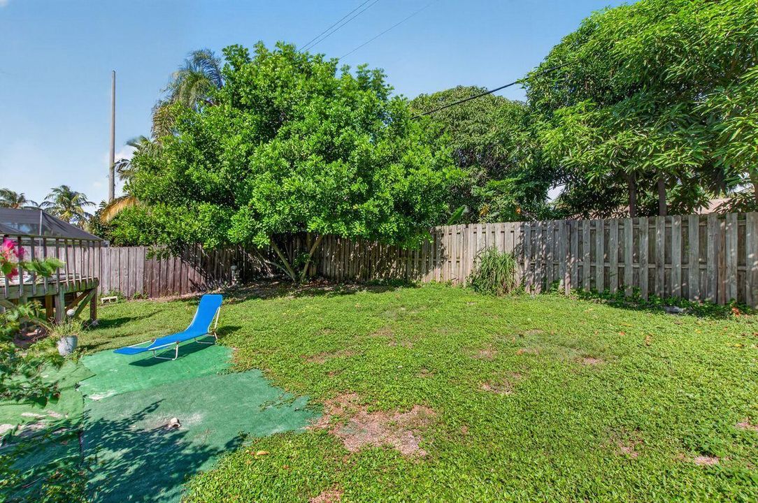 Backyard