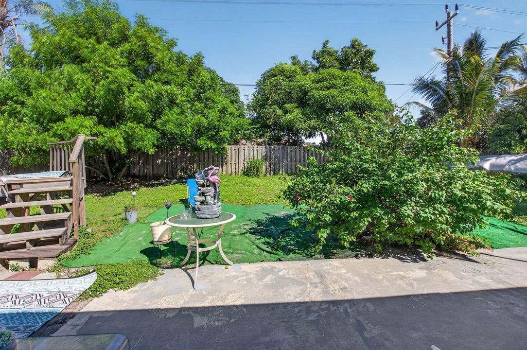 Backyard